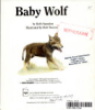 Baby_wolf