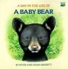 A_day_in_the_life_of_a_baby_bear
