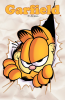 Garfield_Vol__5