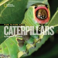 Face_to_face_with_caterpillars