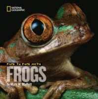 Face_to_face_with_frogs