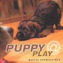 Pups_at_play
